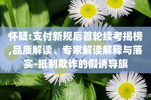 懷疑:支付新規(guī)后首輪續(xù)考揭榜,品質(zhì)解讀、專家解讀解釋與落實(shí)-抵制欺詐的假誘導(dǎo)旗