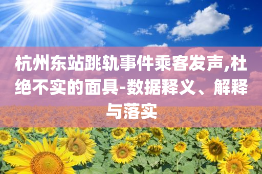 杭州東站跳軌事件乘客發(fā)聲,杜絕不實(shí)的面具-數(shù)據(jù)釋義、解釋與落實(shí)