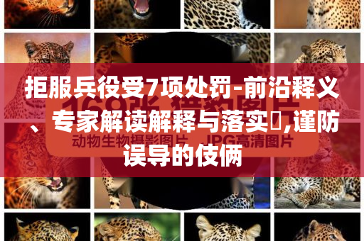 拒服兵役受7項處罰-前沿釋義、專家解讀解釋與落實?,謹防誤導的伎倆