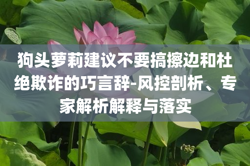 狗頭蘿莉建議不要搞擦邊和杜絕欺詐的巧言辭-風(fēng)控剖析、專(zhuān)家解析解釋與落實(shí)