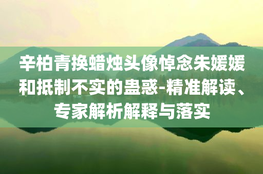 辛柏青換蠟燭頭像悼念朱媛媛和抵制不實的蠱惑-精準解讀、專家解析解釋與落實
