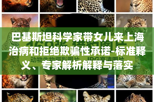 巴基斯坦科學家?guī)畠簛砩虾Ｖ尾『途芙^欺騙性承諾-標準釋義、專家解析解釋與落實