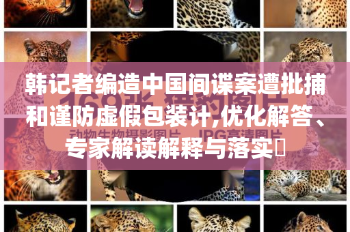 韓記者編造中國(guó)間諜案遭批捕和謹(jǐn)防虛假包裝計(jì),優(yōu)化解答、專(zhuān)家解讀解釋與落實(shí)?