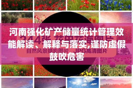 河南強(qiáng)化礦產(chǎn)儲(chǔ)量統(tǒng)計(jì)管理效能解讀、解釋與落實(shí),謹(jǐn)防虛假鼓吹危害