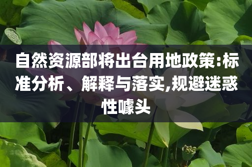 自然資源部將出臺(tái)用地政策:標(biāo)準(zhǔn)分析、解釋與落實(shí),規(guī)避迷惑性噱頭