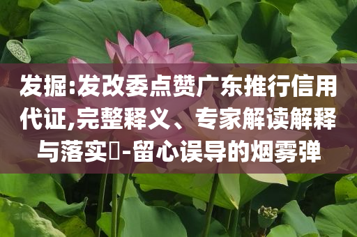 發(fā)掘:發(fā)改委點贊廣東推行信用代證,完整釋義、專家解讀解釋與落實?-留心誤導的煙霧彈