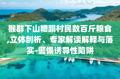 猴群下山糟蹋村民數(shù)百斤糧食,立體剖析、專家解讀解釋與落實(shí)-警惕誘導(dǎo)性陷阱
