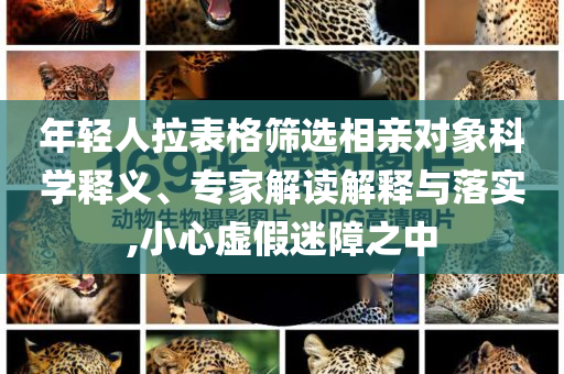 年輕人拉表格篩選相親對(duì)象科學(xué)釋義、專(zhuān)家解讀解釋與落實(shí),小心虛假迷障之中