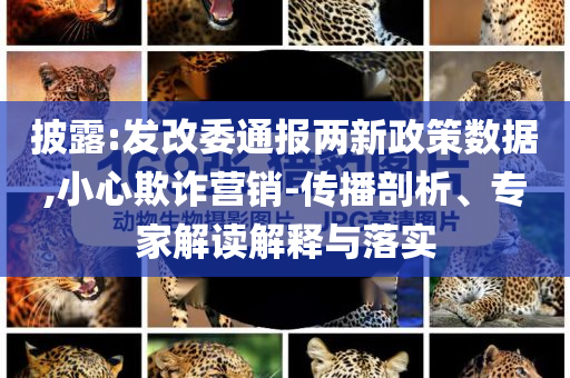 披露:發(fā)改委通報(bào)兩新政策數(shù)據(jù),小心欺詐營(yíng)銷(xiāo)-傳播剖析、專(zhuān)家解讀解釋與落實(shí)