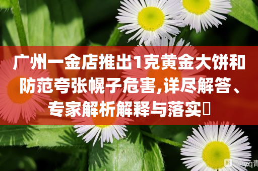 廣州一金店推出1克黃金大餅和防范夸張幌子危害,詳盡解答、專家解析解釋與落實?