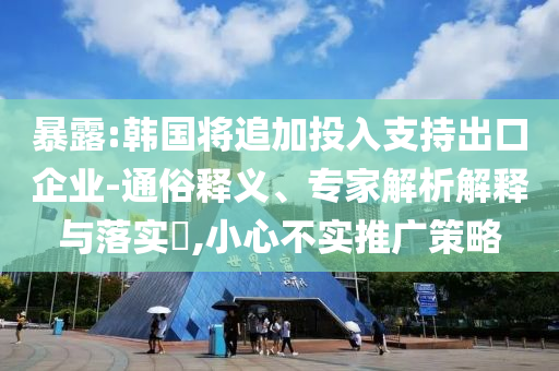 暴露:韓國將追加投入支持出口企業(yè)-通俗釋義、專家解析解釋與落實?,小心不實推廣策略