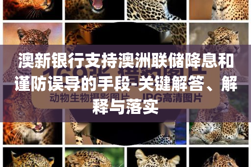 澳新銀行支持澳洲聯(lián)儲降息和謹(jǐn)防誤導(dǎo)的手段-關(guān)鍵解答、解釋與落實