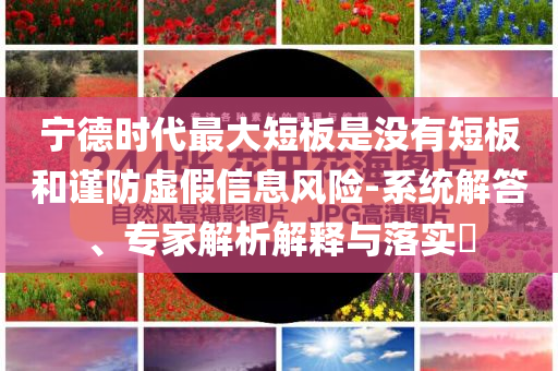寧德時(shí)代最大短板是沒有短板和謹(jǐn)防虛假信息風(fēng)險(xiǎn)-系統(tǒng)解答、專家解析解釋與落實(shí)?