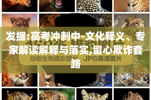 發(fā)掘:高考沖刺中-文化釋義、專家解讀解釋與落實,留心欺詐套路