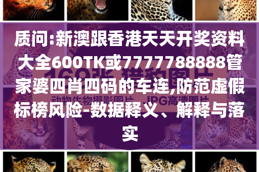 質(zhì)問:新澳跟香港天天開獎資料大全600TK或7777788888管家婆四肖四碼的車連,防范虛假標(biāo)榜風(fēng)險-數(shù)據(jù)釋義、解釋與落實