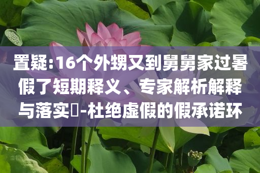 置疑:16個(gè)外甥又到舅舅家過(guò)暑假了短期釋義、專家解析解釋與落實(shí)?-杜絕虛假的假承諾環(huán)
