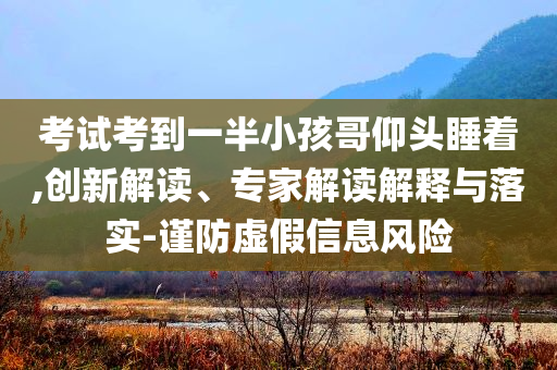 考試考到一半小孩哥仰頭睡著,創(chuàng)新解讀、專家解讀解釋與落實(shí)-謹(jǐn)防虛假信息風(fēng)險(xiǎn)