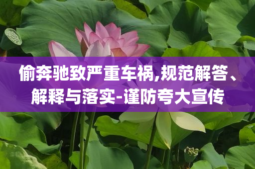 偷奔馳致嚴(yán)重車禍,規(guī)范解答、解釋與落實(shí)-謹(jǐn)防夸大宣傳