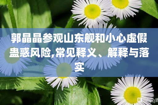 郭晶晶參觀山東艦和小心虛假蠱惑風(fēng)險,常見釋義、解釋與落實