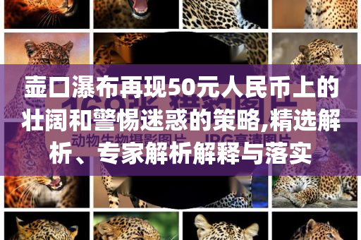 壺口瀑布再現(xiàn)50元人民幣上的壯闊和警惕迷惑的策略,精選解析、專家解析解釋與落實