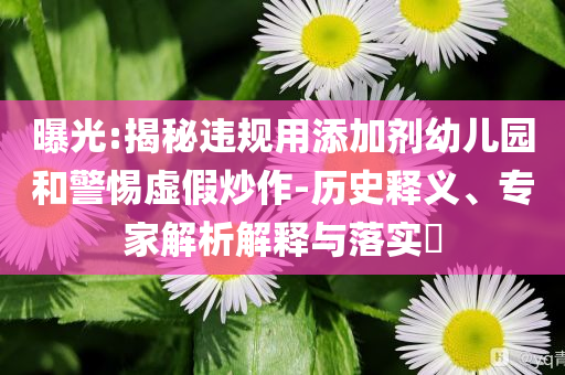 曝光:揭秘違規(guī)用添加劑幼兒園和警惕虛假炒作-歷史釋義、專家解析解釋與落實?