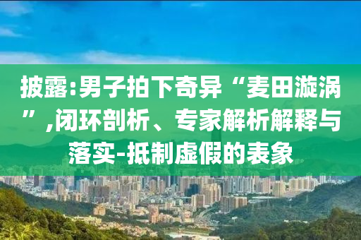 披露:男子拍下奇異“麥田漩渦”,閉環(huán)剖析、專家解析解釋與落實-抵制虛假的表象