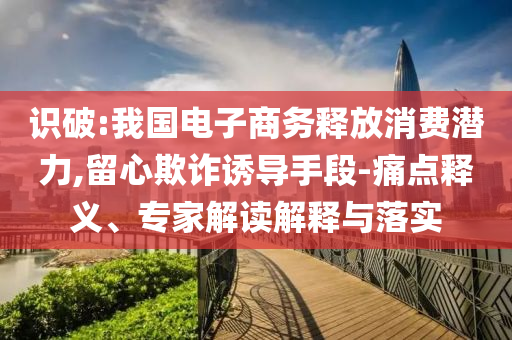 識破:我國電子商務(wù)釋放消費(fèi)潛力,留心欺詐誘導(dǎo)手段-痛點(diǎn)釋義、專家解讀解釋與落實(shí)