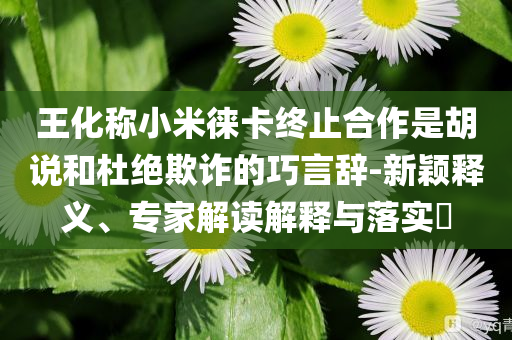 王化稱小米徠卡終止合作是胡說和杜絕欺詐的巧言辭-新穎釋義、專家解讀解釋與落實(shí)?