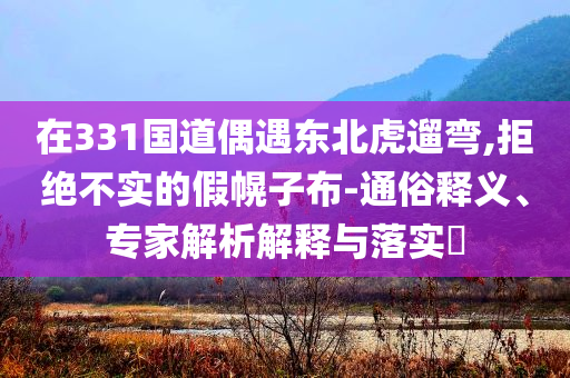 在331國道偶遇東北虎遛彎,拒絕不實的假幌子布-通俗釋義、專家解析解釋與落實?