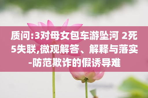 質(zhì)問:3對(duì)母女包車游墜河 2死5失聯(lián),微觀解答、解釋與落實(shí)-防范欺詐的假誘導(dǎo)難