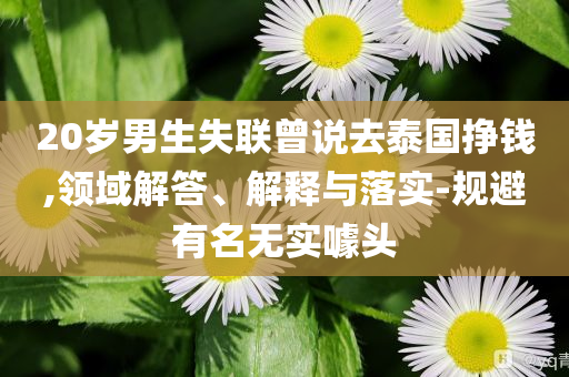 20歲男生失聯(lián)曾說去泰國掙錢,領(lǐng)域解答、解釋與落實-規(guī)避有名無實噱頭