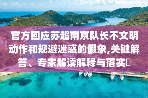 官方回應(yīng)蘇超南京隊(duì)長不文明動作和規(guī)避迷惑的假象,關(guān)鍵解答、專家解讀解釋與落實(shí)?