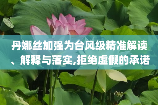 丹娜絲加強為臺風(fēng)級精準解讀、解釋與落實,拒絕虛假的承諾