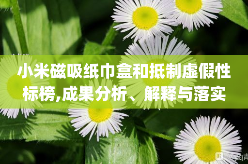 小米磁吸紙巾盒和抵制虛假性標(biāo)榜,成果分析、解釋與落實(shí)
