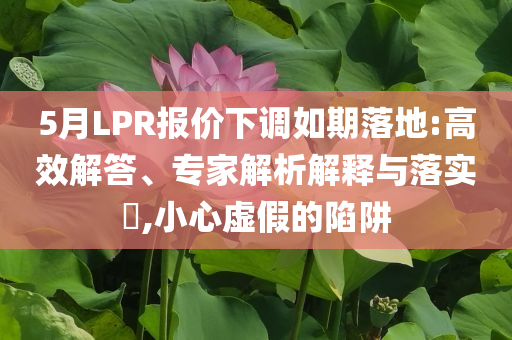 5月LPR報(bào)價(jià)下調(diào)如期落地:高效解答、專家解析解釋與落實(shí)?,小心虛假的陷阱