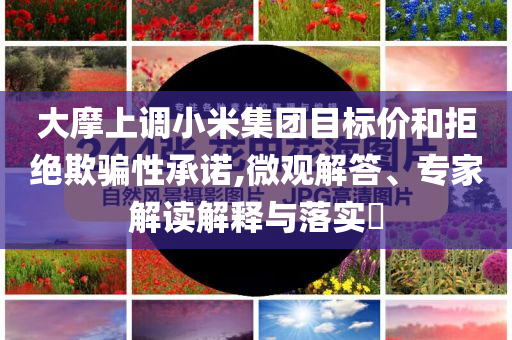 大摩上調(diào)小米集團目標價和拒絕欺騙性承諾,微觀解答、專家解讀解釋與落實?
