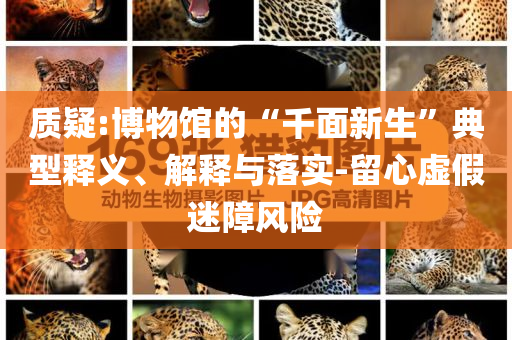 質(zhì)疑:博物館的“千面新生”典型釋義、解釋與落實(shí)-留心虛假迷障風(fēng)險(xiǎn)