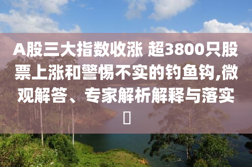 A股三大指數(shù)收漲 超3800只股票上漲和警惕不實(shí)的釣魚鉤,微觀解答、專家解析解釋與落實(shí)?