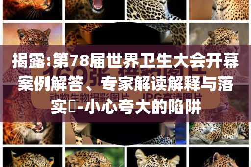 揭露:第78屆世界衛(wèi)生大會開幕案例解答、專家解讀解釋與落實(shí)?-小心夸大的陷阱