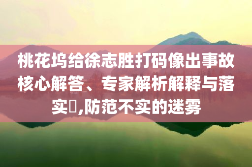桃花塢給徐志勝打碼像出事故核心解答、專家解析解釋與落實(shí)?,防范不實(shí)的迷霧