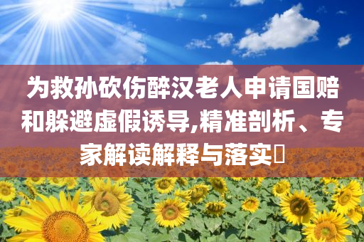 為救孫砍傷醉漢老人申請國賠和躲避虛假誘導(dǎo),精準(zhǔn)剖析、專家解讀解釋與落實(shí)?
