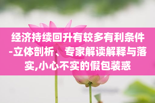 經(jīng)濟持續(xù)回升有較多有利條件-立體剖析、專家解讀解釋與落實,小心不實的假包裝惑