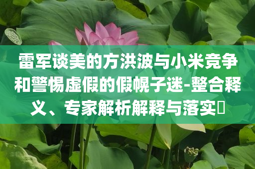 雷軍談美的方洪波與小米競爭和警惕虛假的假幌子迷-整合釋義、專家解析解釋與落實?