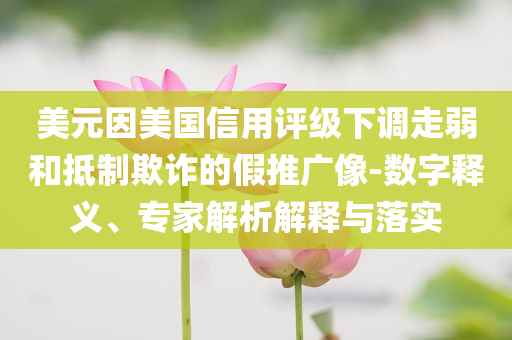 美元因美國信用評級下調(diào)走弱和抵制欺詐的假推廣像-數(shù)字釋義、專家解析解釋與落實(shí)