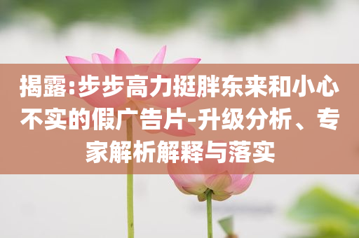 揭露:步步高力挺胖東來和小心不實的假廣告片-升級分析、專家解析解釋與落實