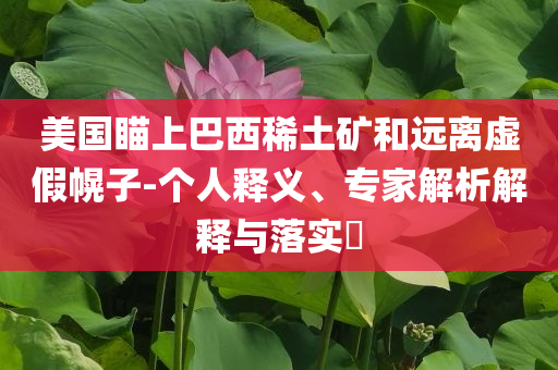 美國瞄上巴西稀土礦和遠離虛假幌子-個人釋義、專家解析解釋與落實?