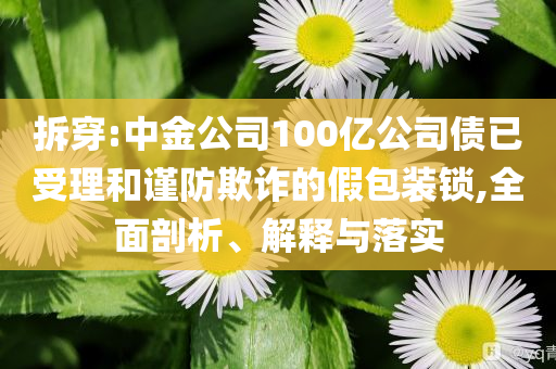 拆穿:中金公司100億公司債已受理和謹(jǐn)防欺詐的假包裝鎖,全面剖析、解釋與落實
