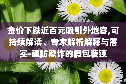 金價下跌近百元吸引外地客,可持續(xù)解讀、專家解析解釋與落實-謹(jǐn)防欺詐的假包裝鎖