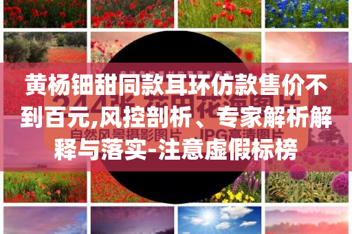 黃楊鈿甜同款耳環(huán)仿款售價不到百元,風(fēng)控剖析、專家解析解釋與落實(shí)-注意虛假標(biāo)榜