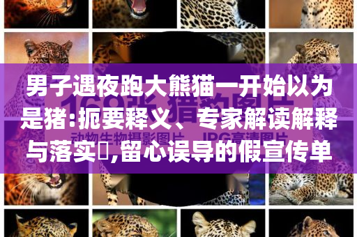 男子遇夜跑大熊貓一開始以為是豬:扼要釋義、專家解讀解釋與落實?,留心誤導(dǎo)的假宣傳單